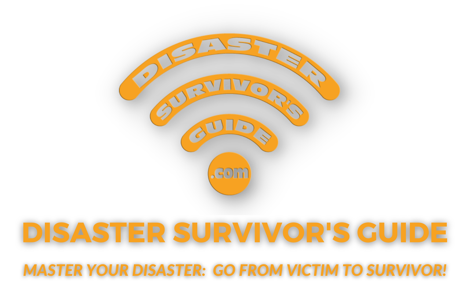 Logo of Disaster Survivor's Guide with beacon graphic on top and tagline that reads Master Your Disaster: Go From Victim to Survivor!